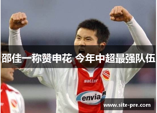 邵佳一称赞申花 今年中超最强队伍