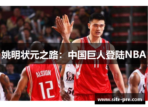 姚明状元之路：中国巨人登陆NBA